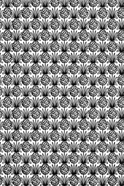 BABY-PINEAPPLES-2048-X3048-SWATCH-BLACK-scaled